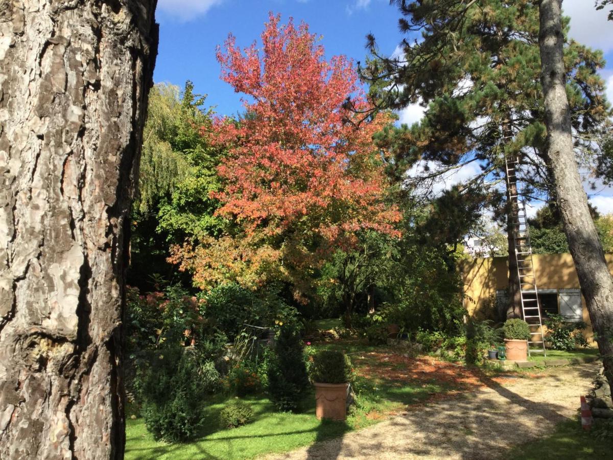 Appartement Fond De Jardin 1 Etage Palaiseau Luaran gambar